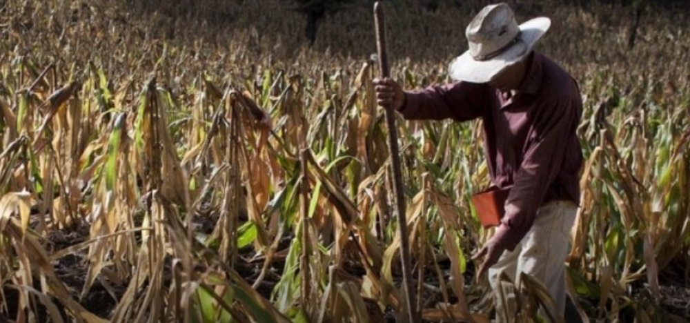 El Niño y su Impacto en las Economías Latinoamericanas: Perspectivas y Desafíos