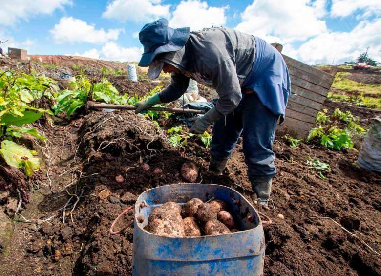 COLOMBIA: Así funcionan las inversiones forzosas en el agro colombiano, la movida que quiere Petro para otros sectores