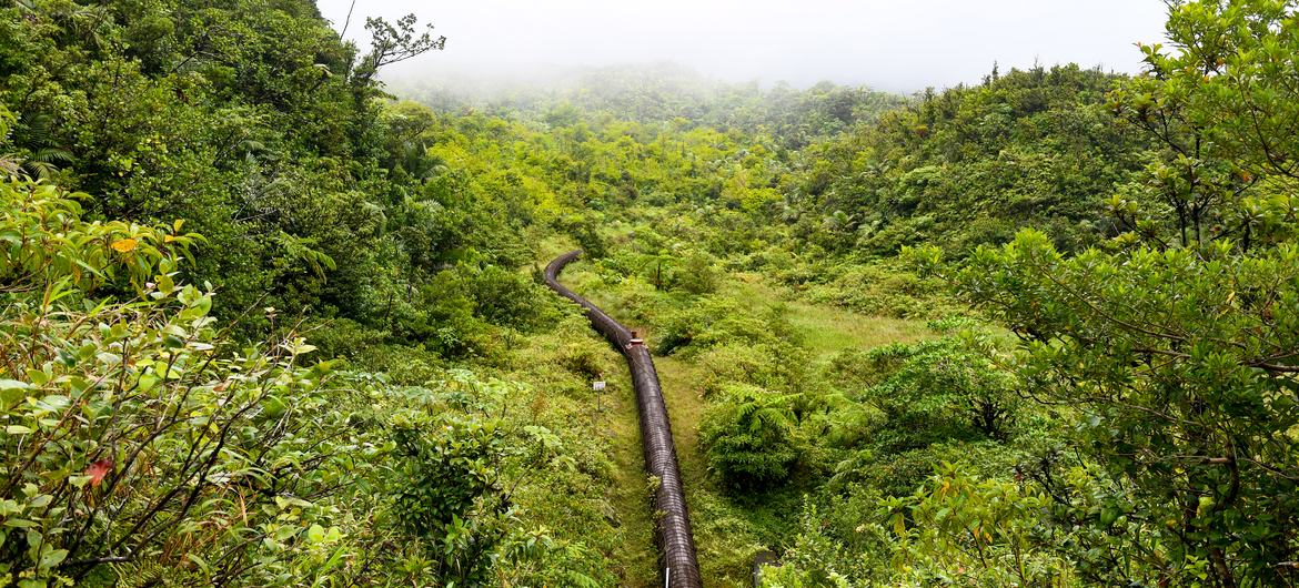 DOMINICA: cada vez más cerca de la independencia energética gracias a las renovables