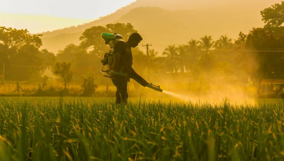 México mantiene uso intensivo de plaguicida que se prohíbe en la región