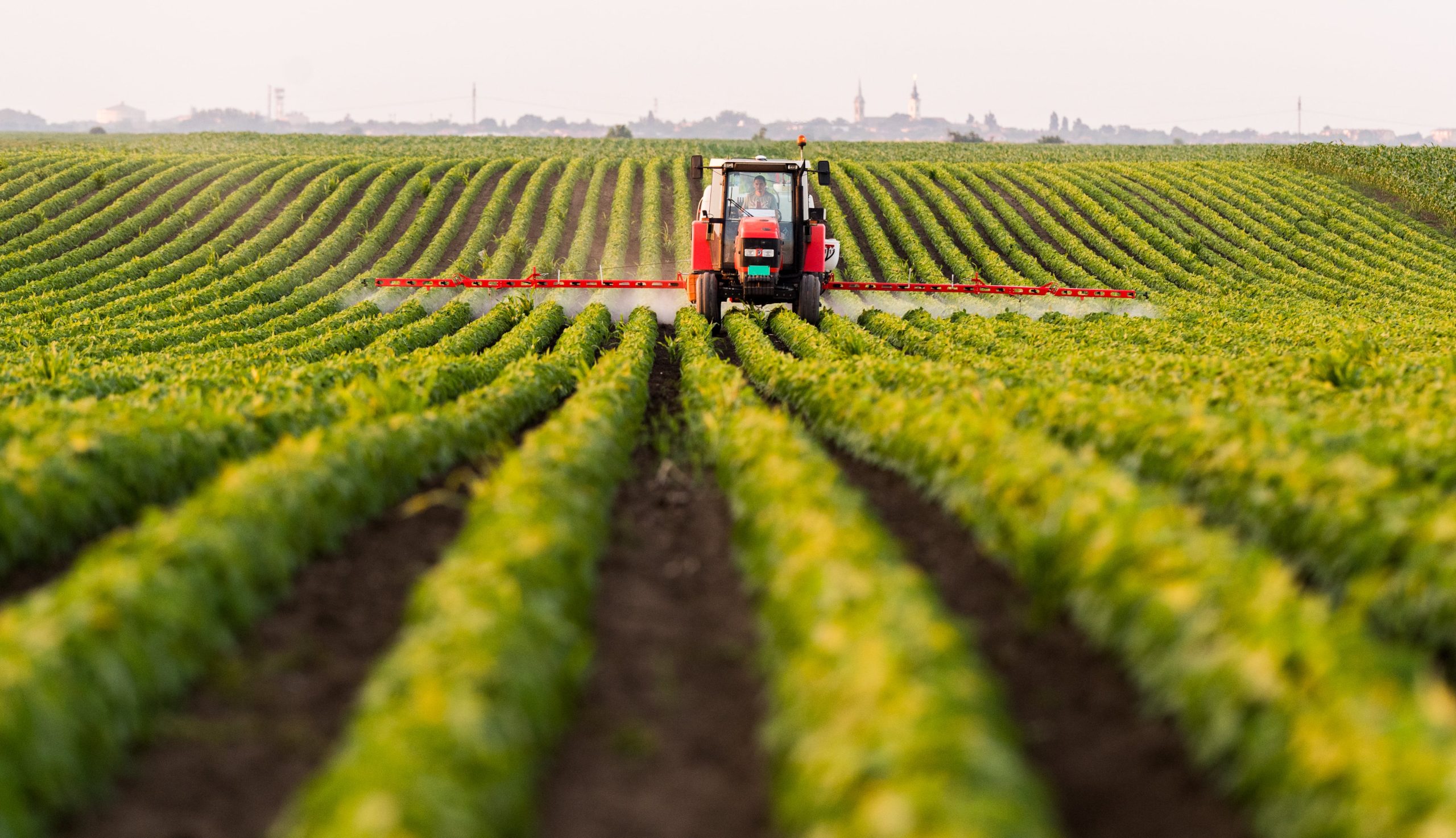 Perú: sector agropecuario lidera crecimiento en abril