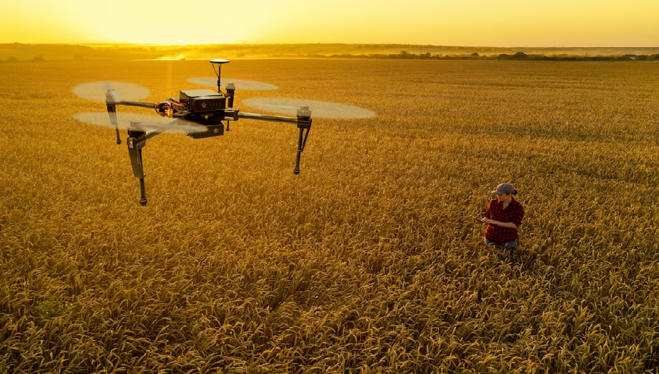 Argentina 2025: litio y agro lideran la recuperación económica