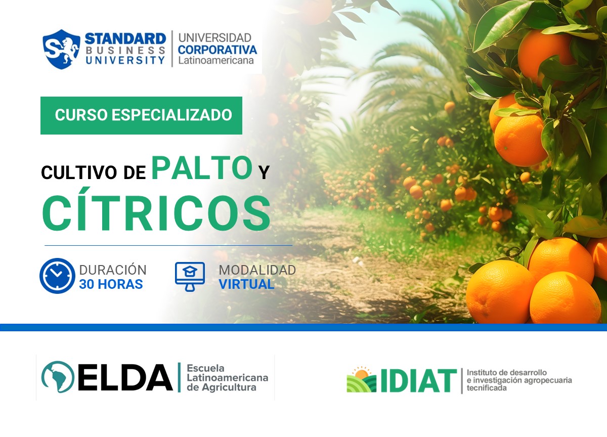 CURSO ESPECIALIZADO EN CULTIVO DE PALTO Y CíTRICOS