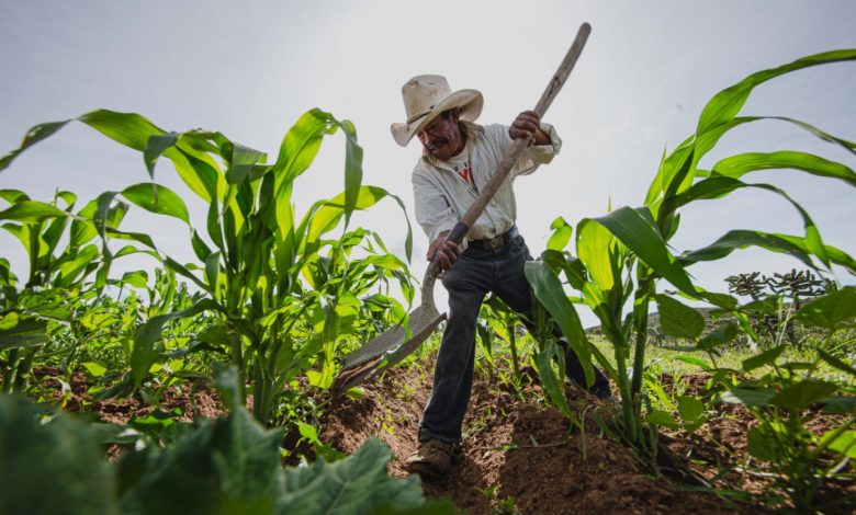 CUBA; Intercambia Homero Acosta con productores sobre ofertas agropecuarias a la población